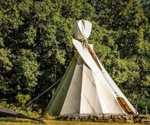 TIPI1